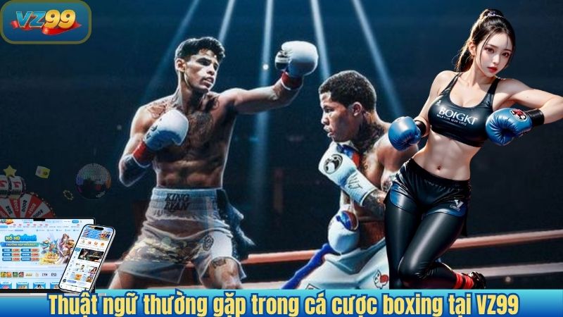 Cá cược Boxing 2025 – Hướng dẫn chi tiết cho người chơi mới 3 Thuật ngữ thường gặp trong cá cược boxing tại VZ99