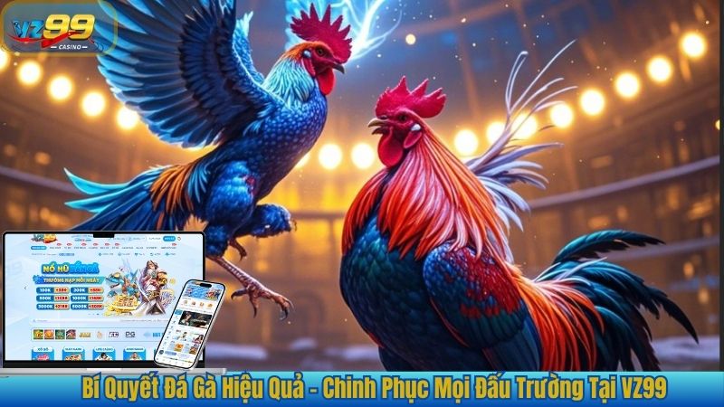 Bí Quyết Đá Gà Hiệu Quả - Chinh Phục Mọi Đấu Trường Tại VZ99