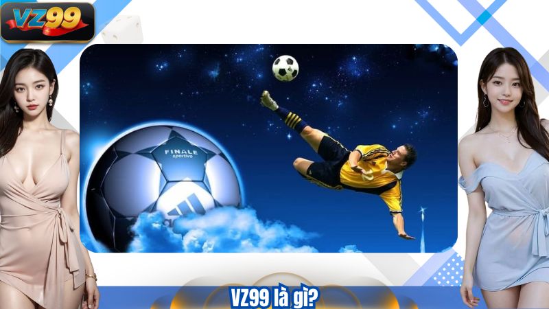 TRANG CHỦ 114 VZ99 là gì?