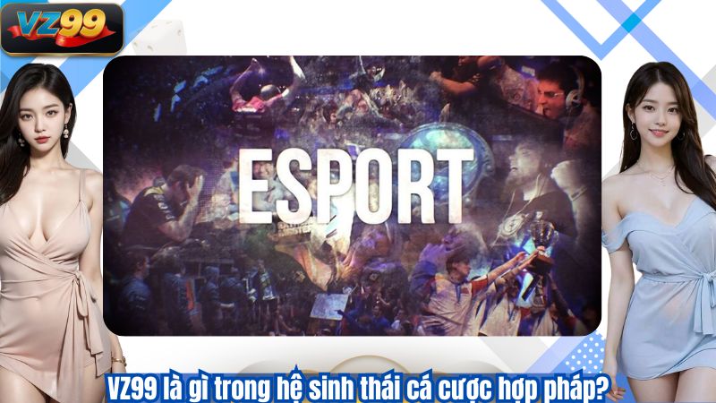 TRANG CHỦ 118 VZ99 là gì trong hệ sinh thái cá cược hợp pháp?